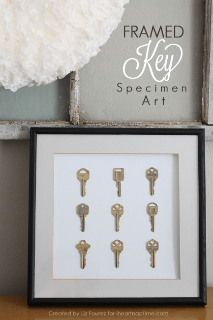 Framed Key Specimen Art | Love Grows Wild for iheartnaptime.net