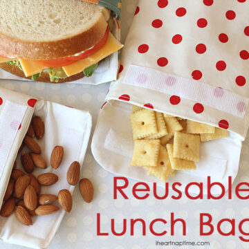 reusable lunch bags