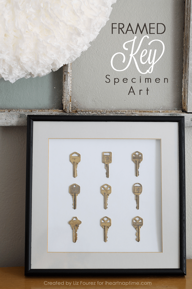 Framed Key Specimen Art