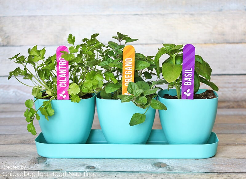 Herb garden marker printables