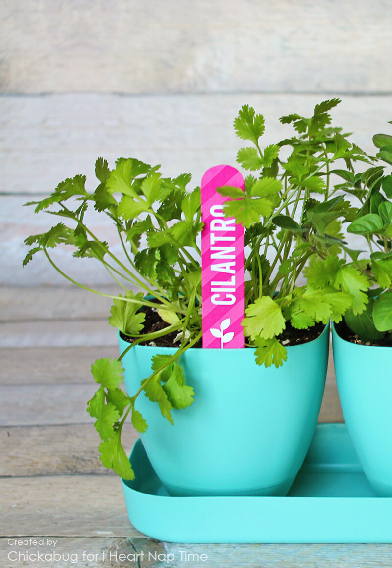 Free printable herb garden markers on iheartnaptime.com