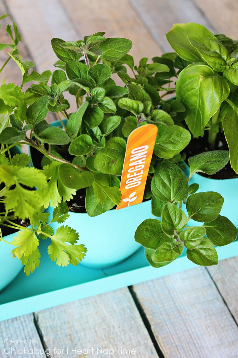 Free printable herb garden markers on iheartnaptime.com