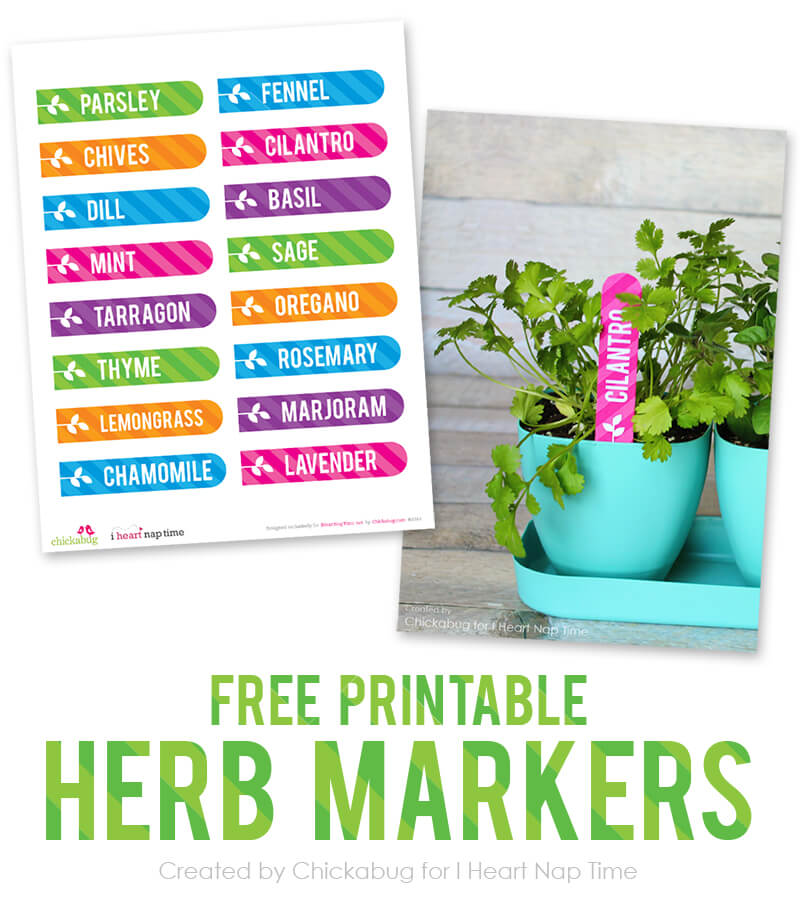 Free printable herb garden markers on iheartnaptime.com