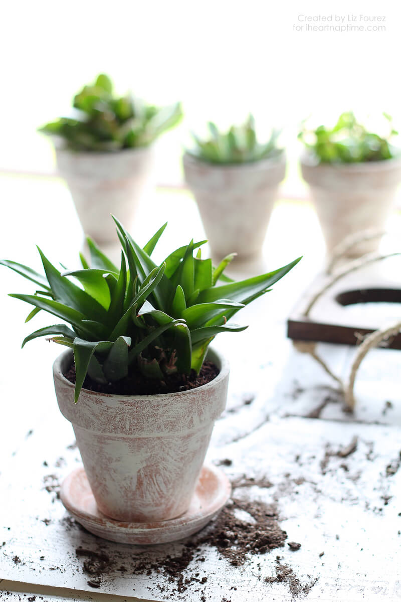 DIY Vertical Plant Hanger on iheartnaptime.com