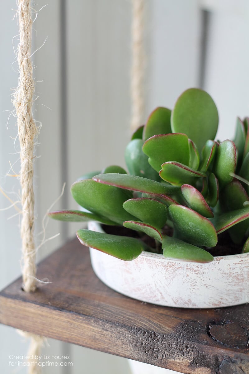 DIY Vertical Plant Hanger on iheartnaptime.com