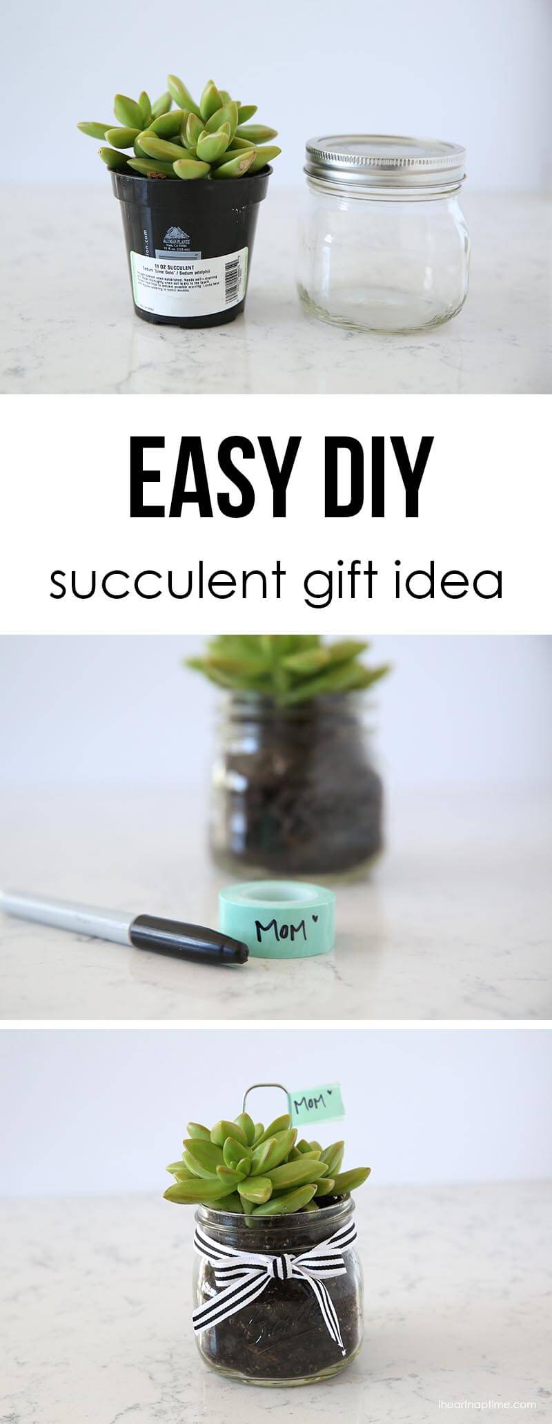 Easy DIY succlent gift idea