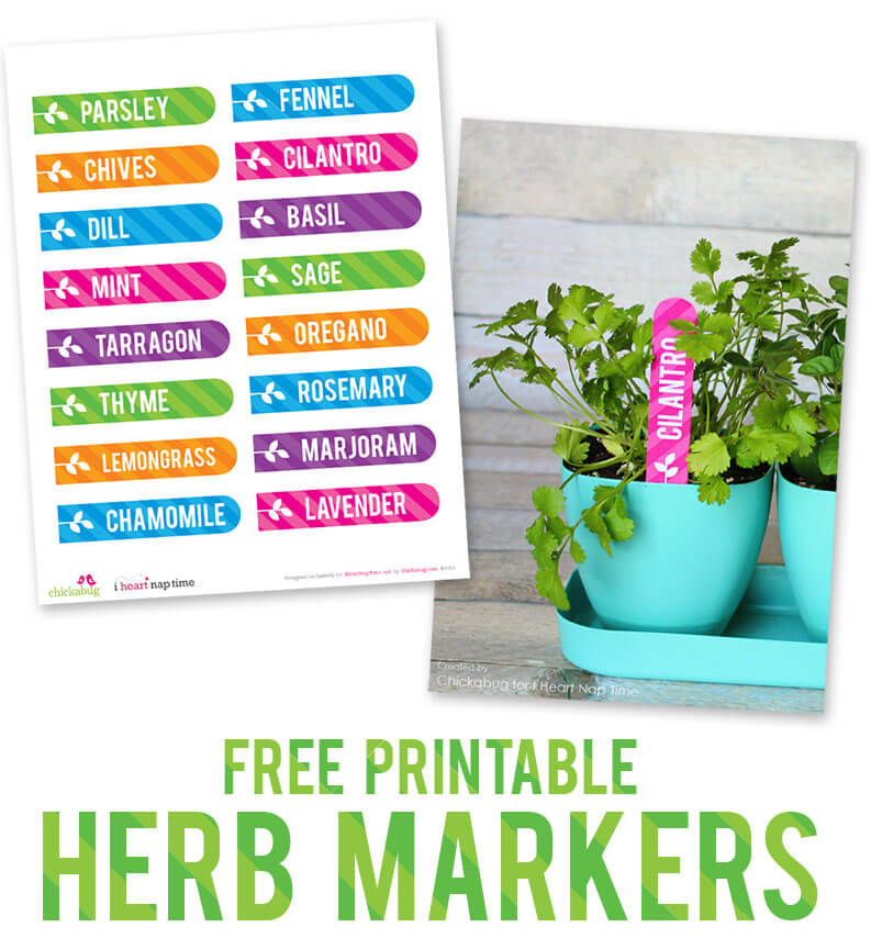 Re-freshen your herb garden with these free printable markers, perfect for your indoor or outdoor plants! 