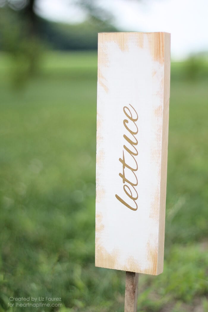 DIY Garden Marker Signs by Love Grows Wild on iheartnaptime.com