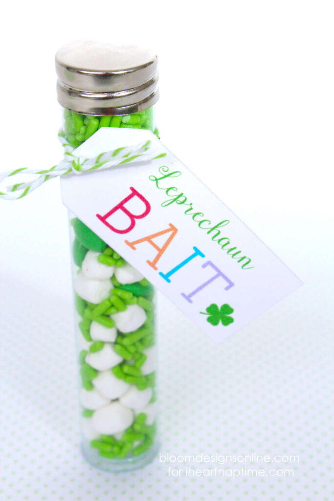Leprechaun bait with free printables -cute idea for kids on Saint Patrick's Day! 