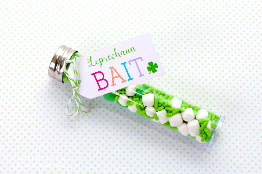 Leprechaun bait with free printables -cute idea for kids on Saint Patrick's Day! 