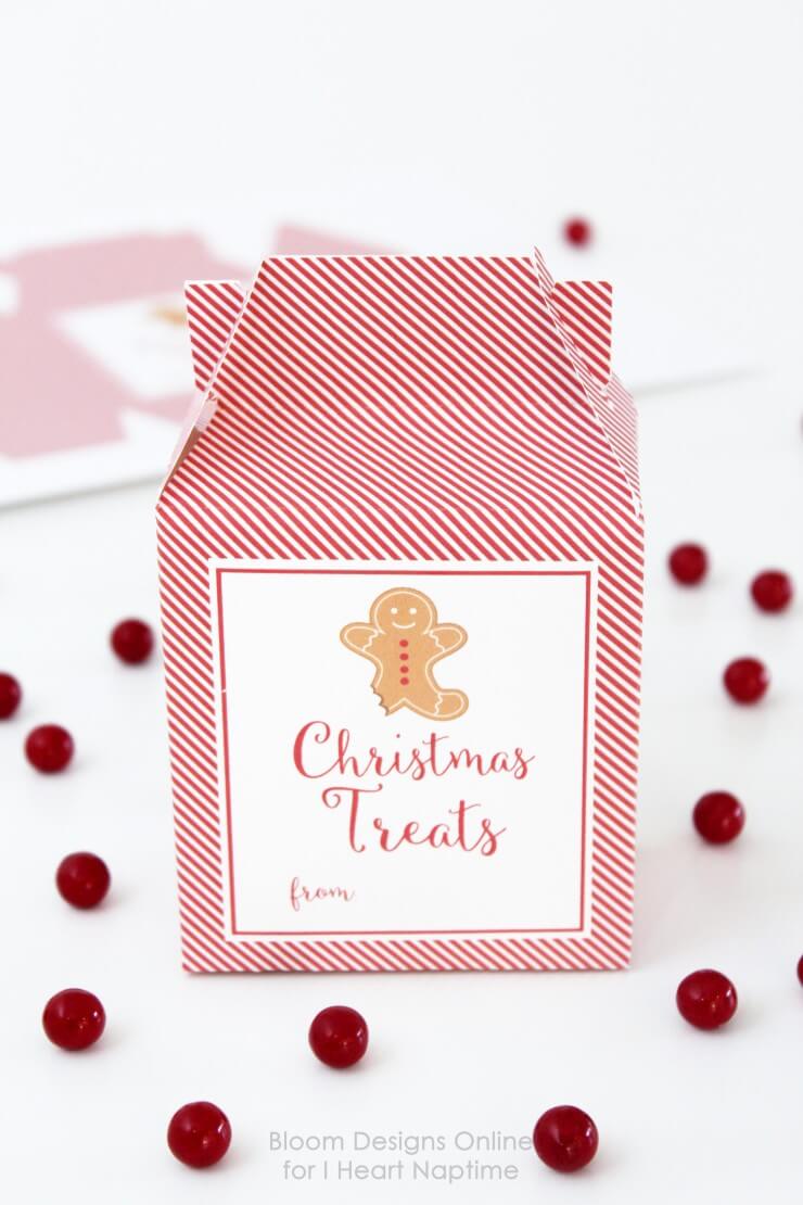 Christmas Treats Boxes