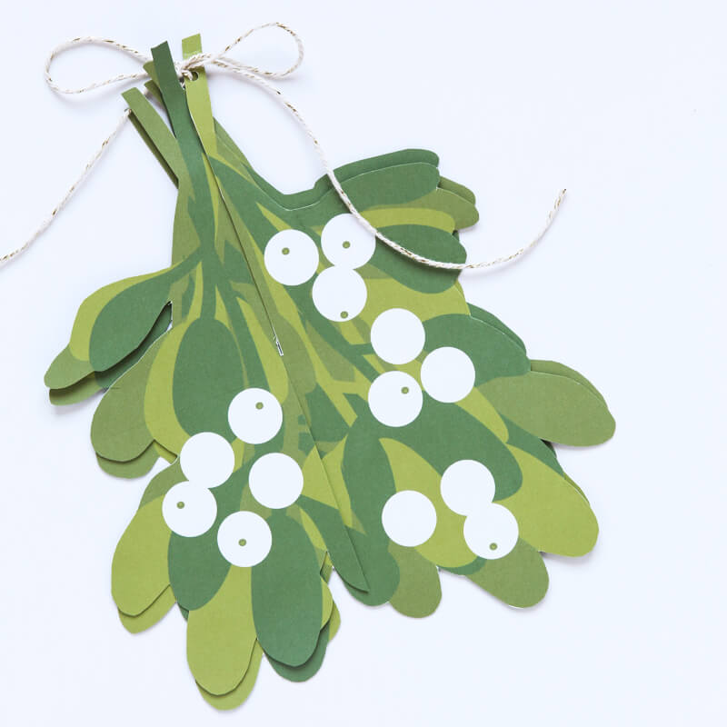 Mistletoe Free Printable - an amazing (and easy!) three-dimensional mistletoe to hang in your home this holiday season!