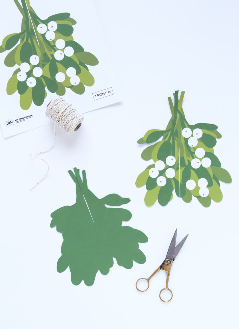 Mistletoe Free Printable - an amazing (and easy!) three-dimensional mistletoe to hang in your home this holiday season!