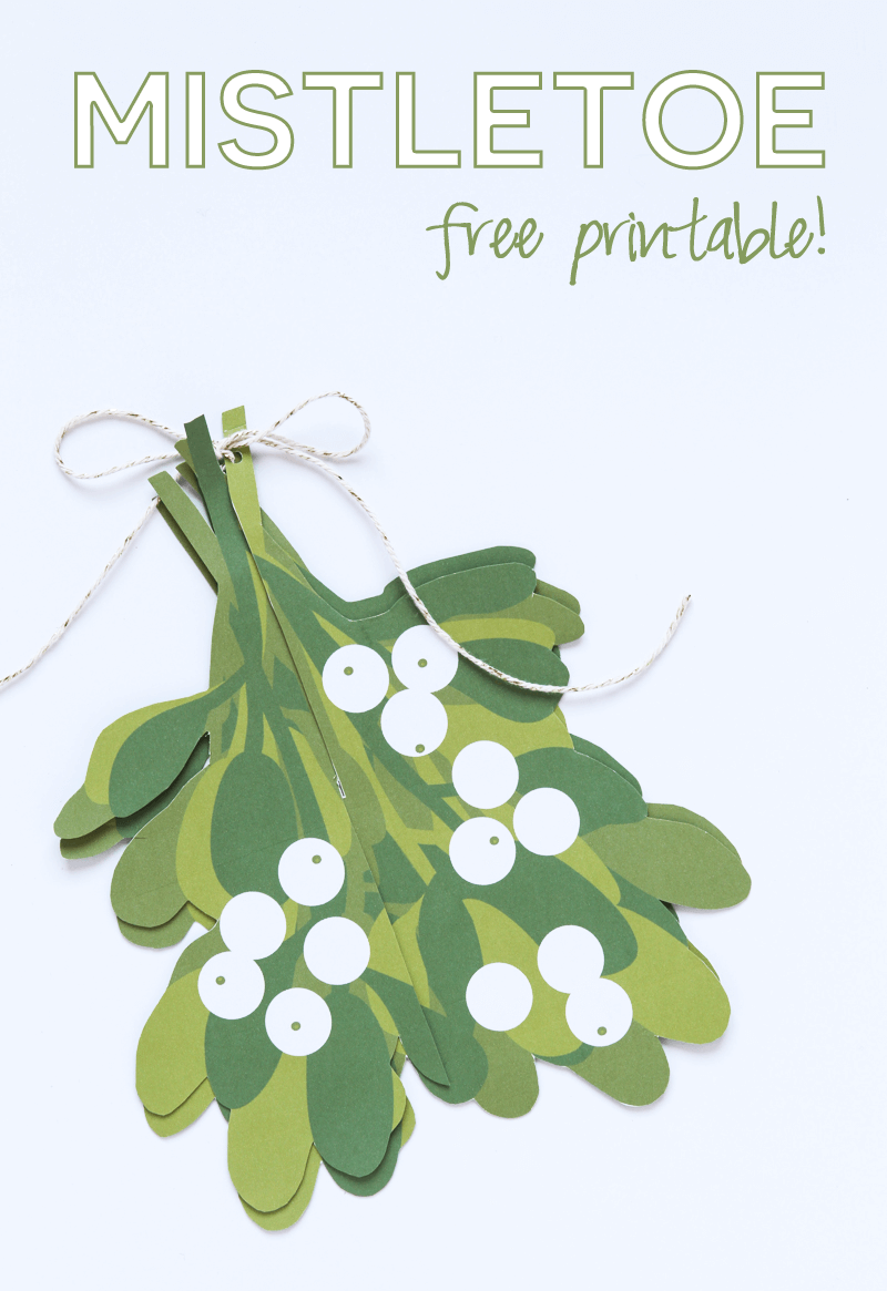 Mistletoe Free Printable - an amazing (and easy!) three-dimensional mistletoe to hang in your home this holiday season!