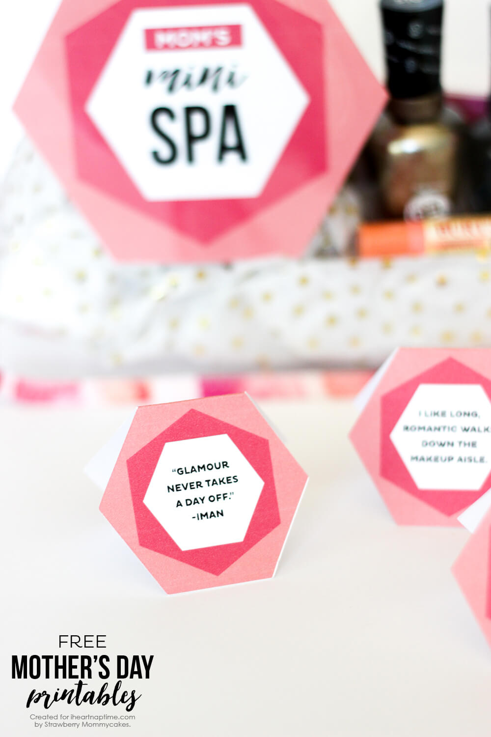 Mother's Day Mini Spa Printables - so easy to print off and stick in a cute makeup case!