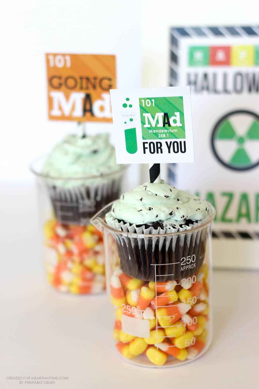 These Mad Scientist Halloween Party Printables are perfect for a little get-together! Grab some beakers and cupcakes to recreate this simple party idea!