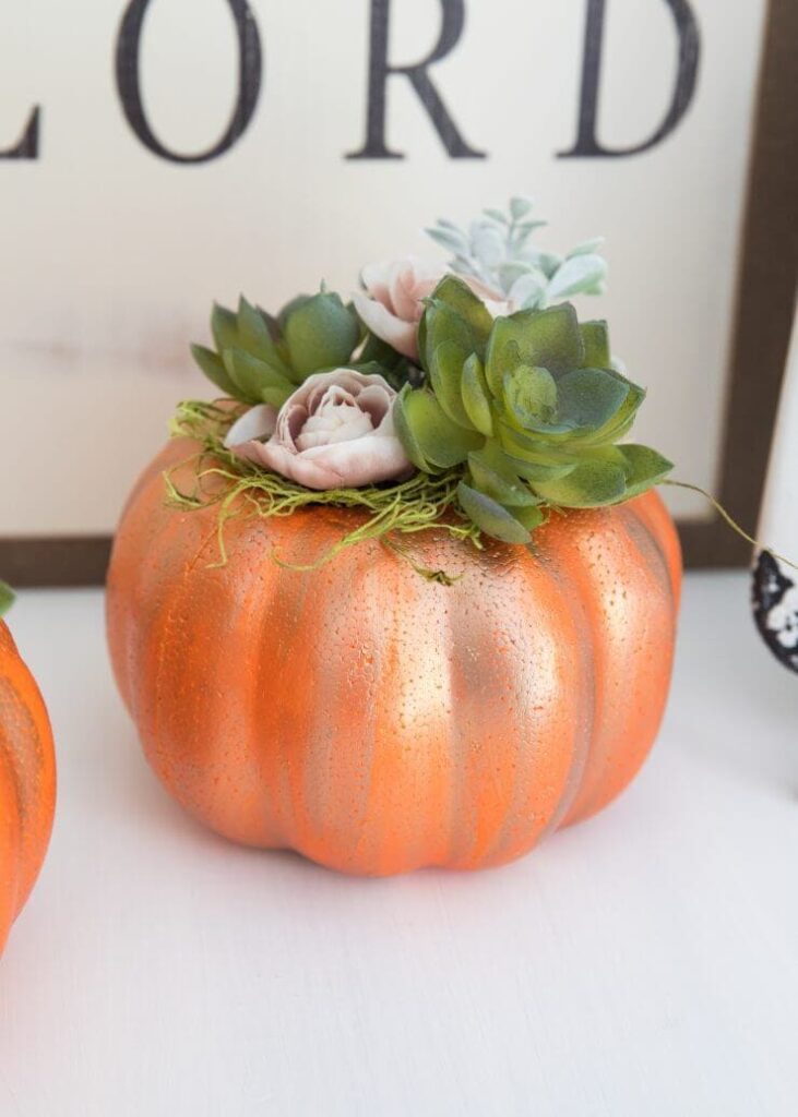 pumpkin succulent planter 