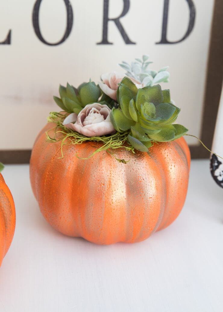 DIY Pumpkin Succulent