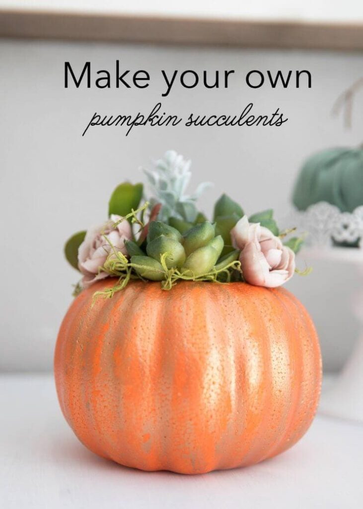 diy pumpkin succulent 