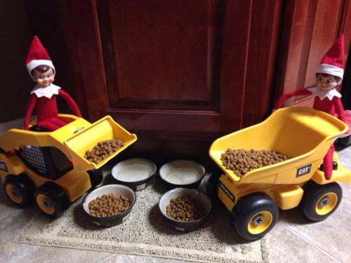 25 Funny Elf on the Shelf Ideas - These clever and original ideas are sure to make the Christmas season a blast in your home!