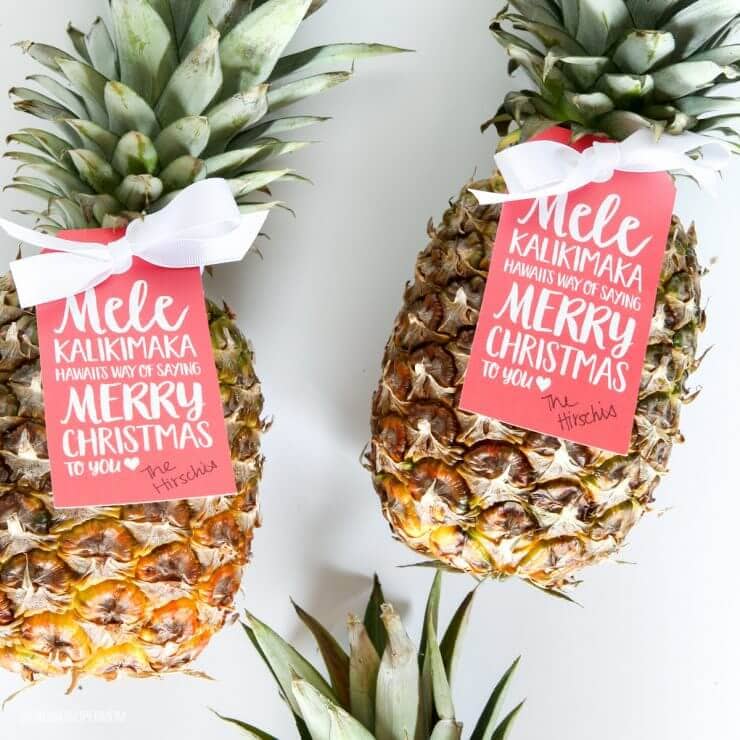 We're channeling the spirit of Hawaii today, with a pineapple gift idea for neighbors and friends that is both easy and adorable.