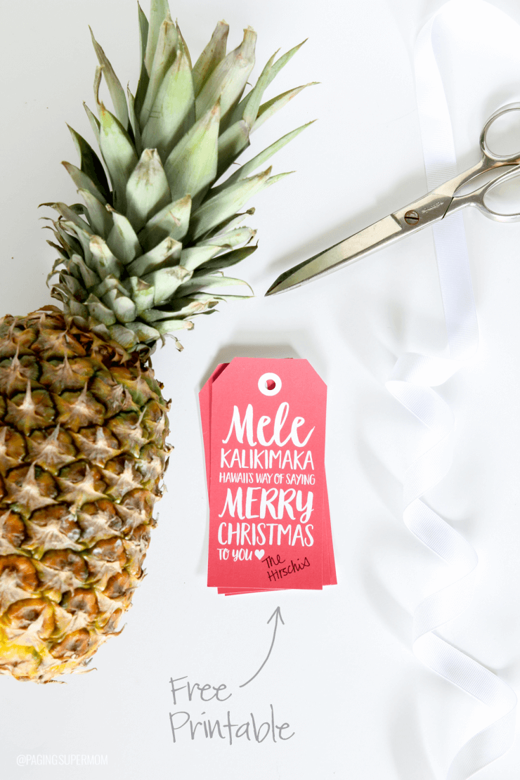 We're channeling the spirit of Hawaii today, with a pineapple gift idea for neighbors and friends that is both easy and adorable.