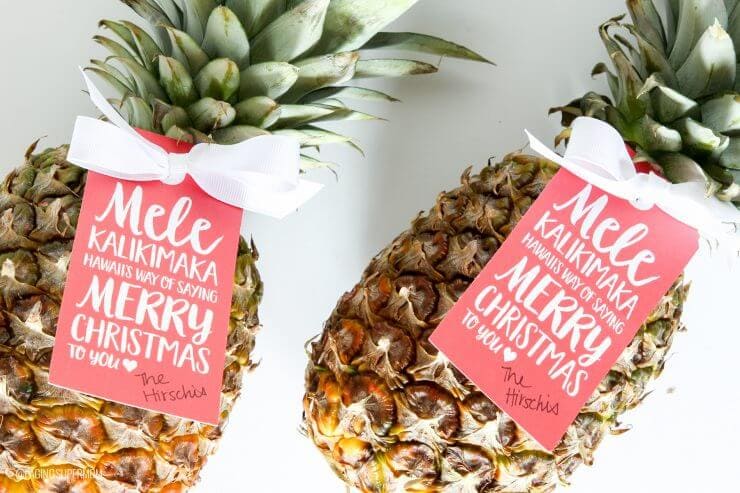 We're channeling the spirit of Hawaii today, with a pineapple gift idea for neighbors and friends that is both easy and adorable.