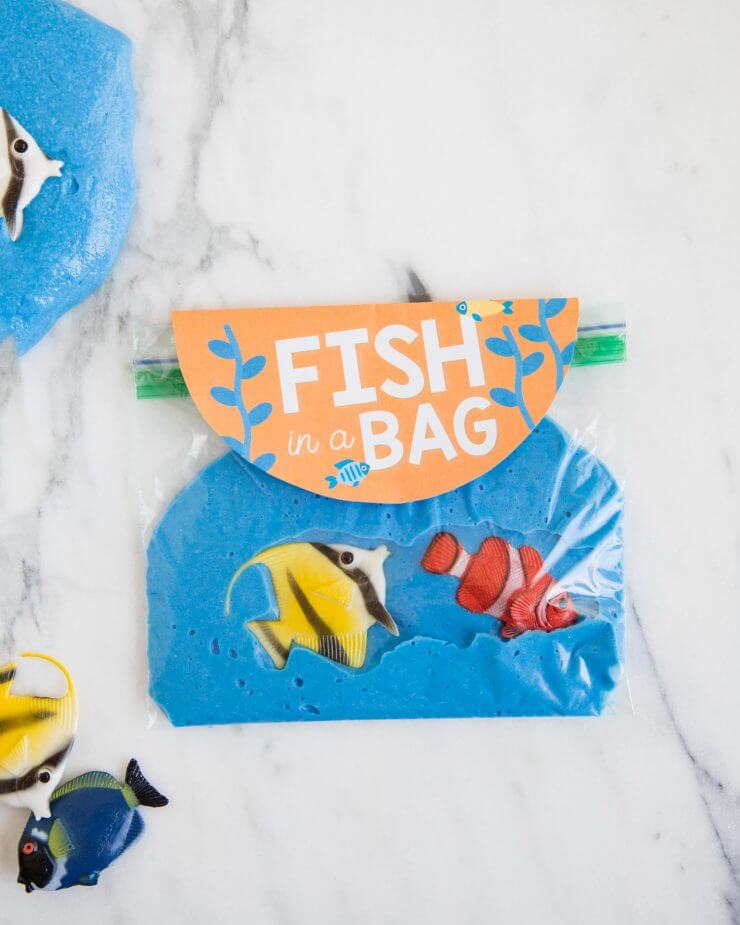 fish in a bag printable with slime in bag