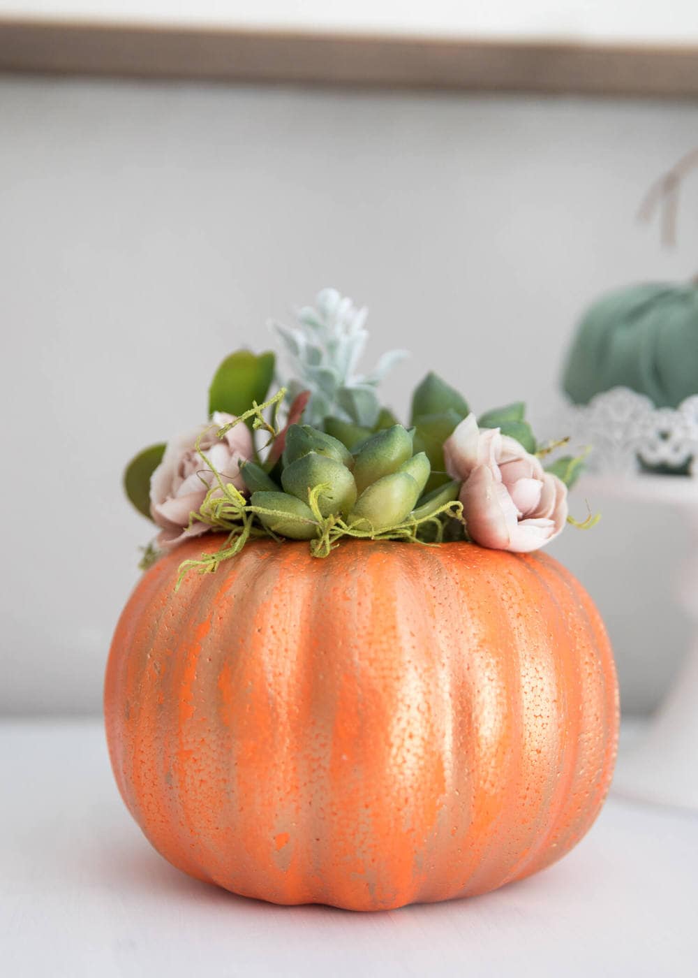 pumpkin succulent halloween craft 