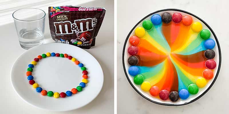 m&m rainbow experiment