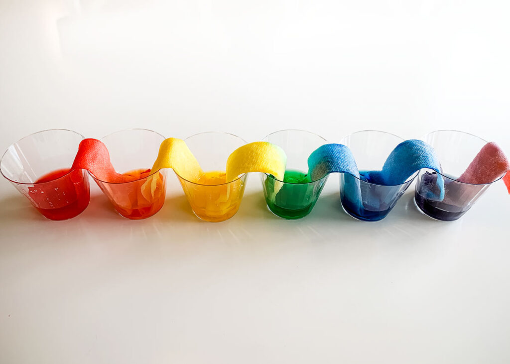 Fun Indoor Activities for Kids at Home...fantastic ideas to help keep your little ones busy all afternoon. Creative and fun activities that everyone will love. rainbow experiment for kids