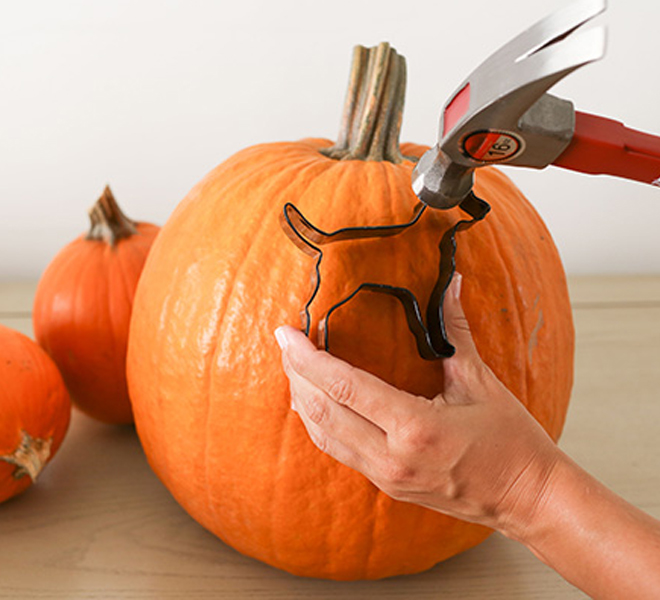 Cute carved deals pumpkins