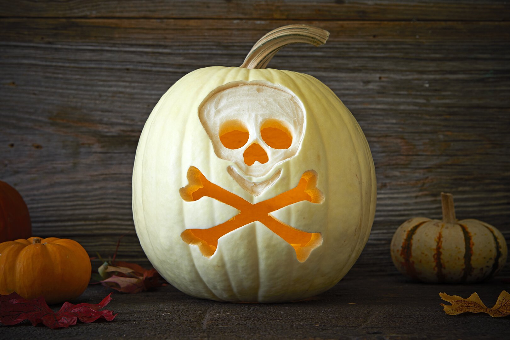 25 Clever Pumpkin Carving Ideas - The Inspiration Board