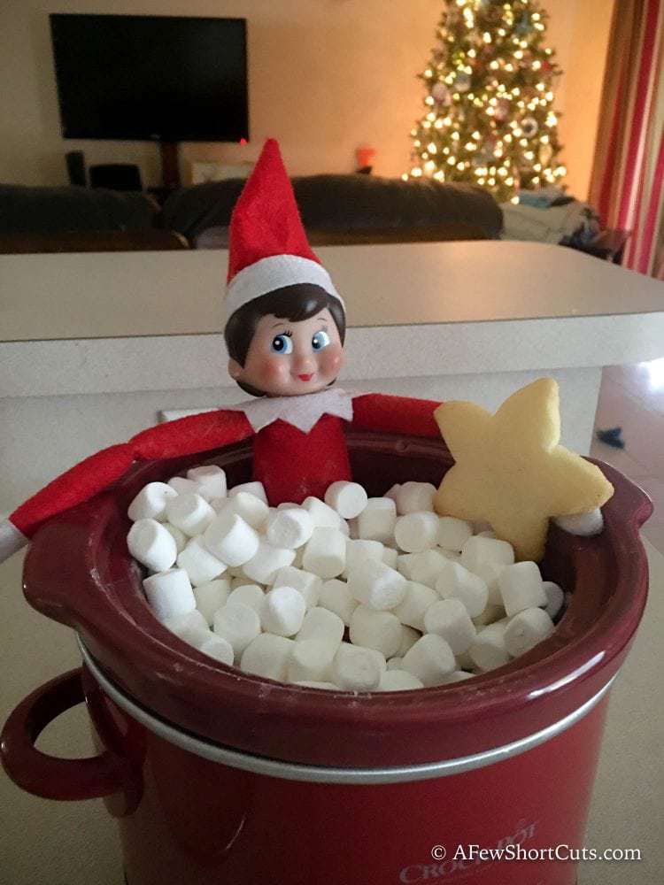 Elf sitting in a cup of marshmallows. 