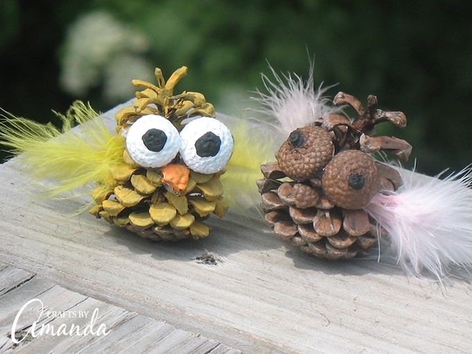 Pine Cone Owl Craft for Kids