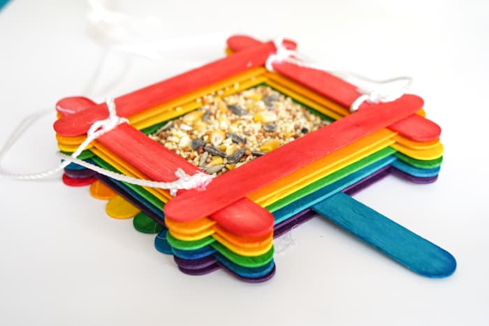 Popsicle Stick Bird Feeder Craft for Kids