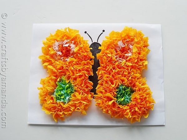 Puffy Tissue Paper Butterfly Craft