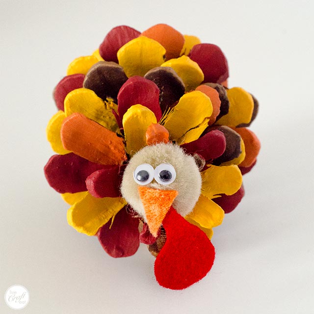 Pinecone Turkey